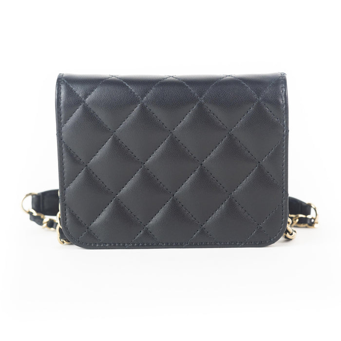 Chanel Lambskin Quilted Mini Wallet on Chain