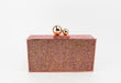 Sophia webster clutch