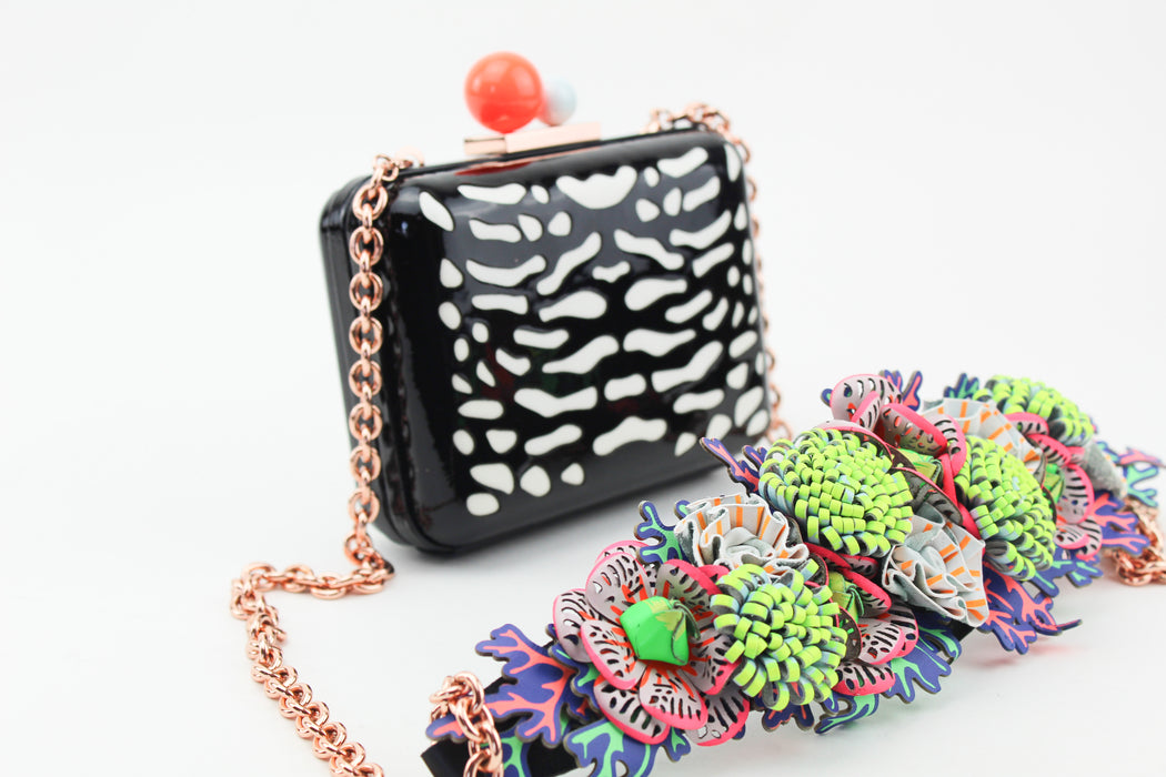 Sophia Webster Clutch