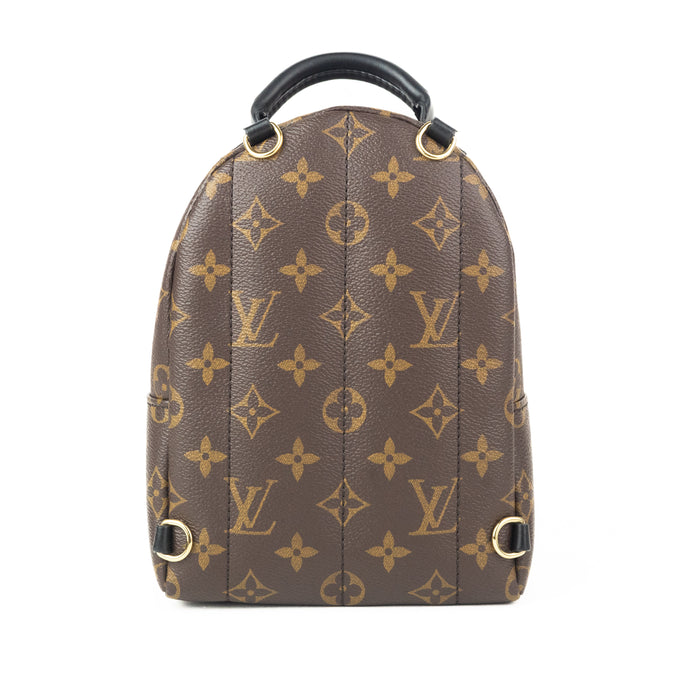 Louis Vuitton Palm Springs Mini Backpack