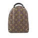 Louis Vuitton Palm Springs Mini Backpack