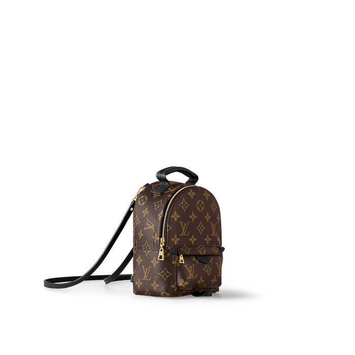 Louis Vuitton Palm Springs Mini Backpack