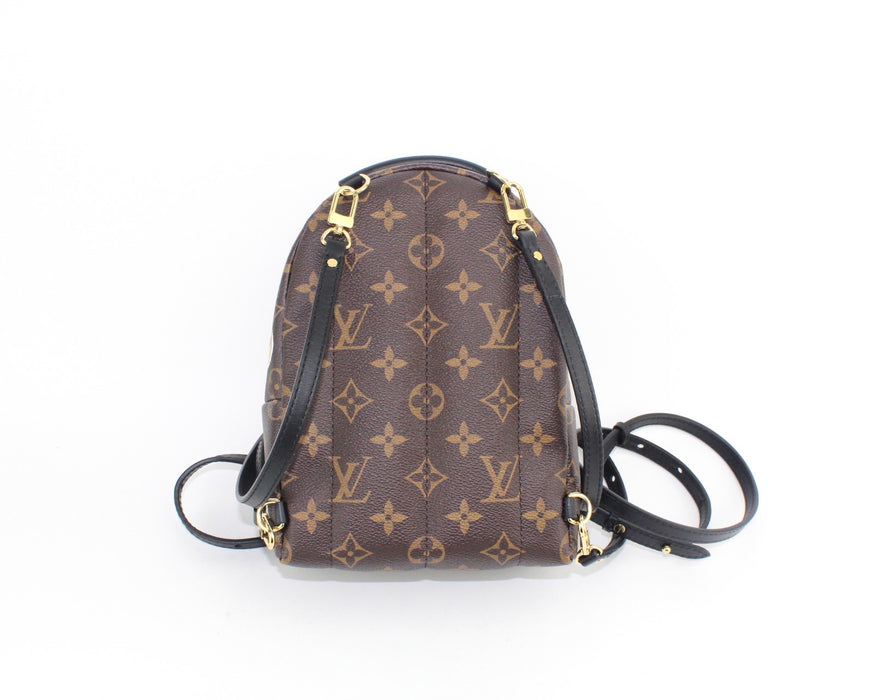 LOUIS VUITTON PALM SPRINGS MINI BACKPACK (LIMITED EDITION)