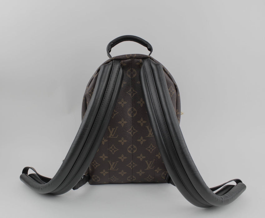 LOUIS VUITTON PALM SPRINGS PM BACKPACK