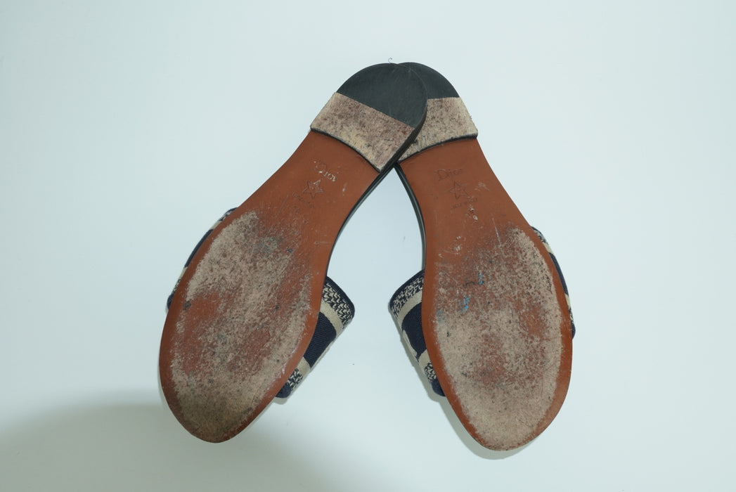 Dior Dway Slides Deep Blue