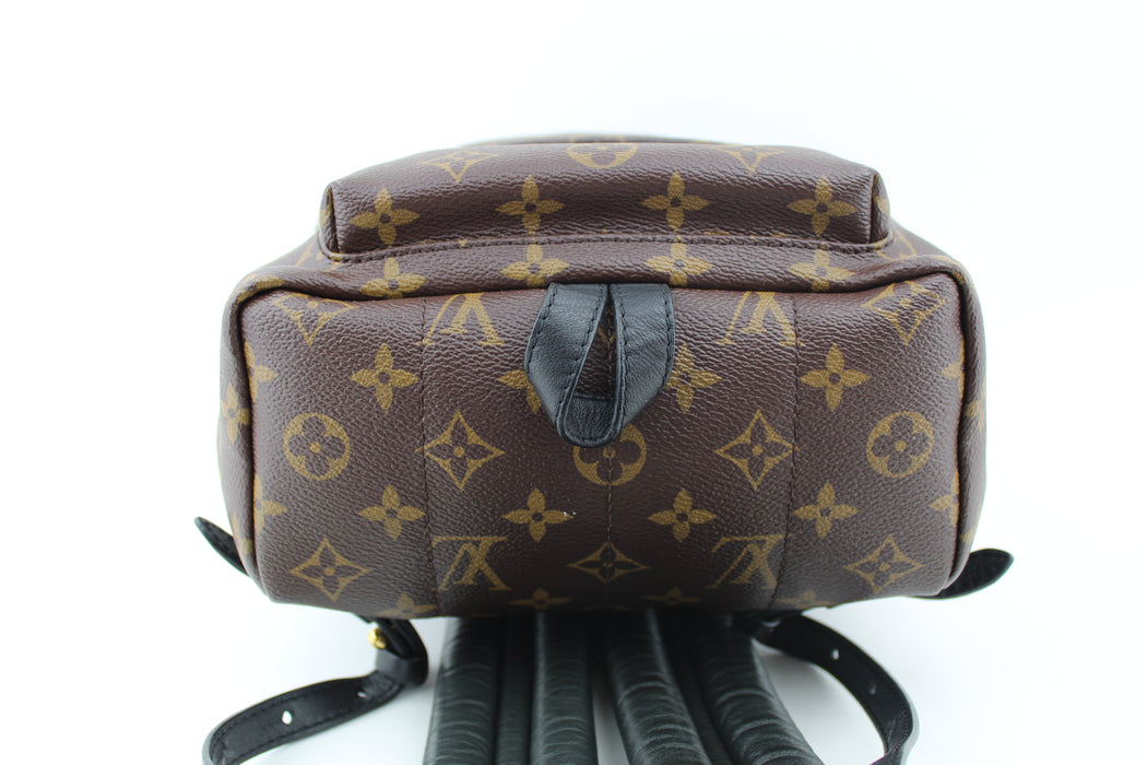 LOUIS VUITTON PALM SPRINGS PM BACKPACK