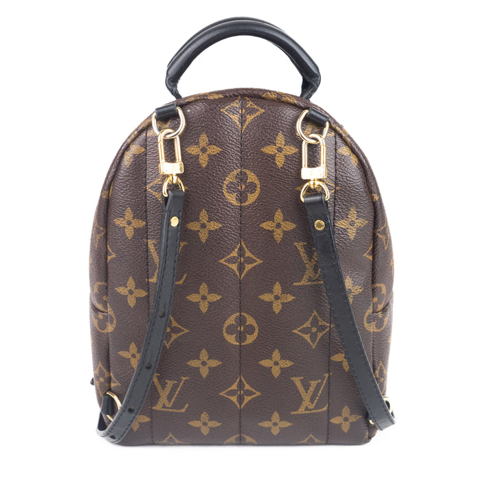 Louis vuitton Palm Springs Mini Backpack Monogram