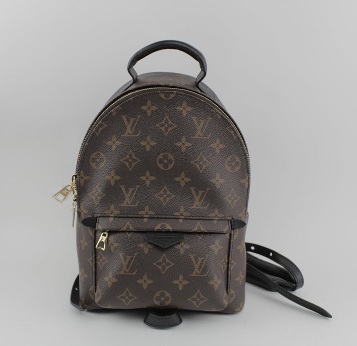 LOUIS VUITTON PALM SPRINGS PM BACKPACK