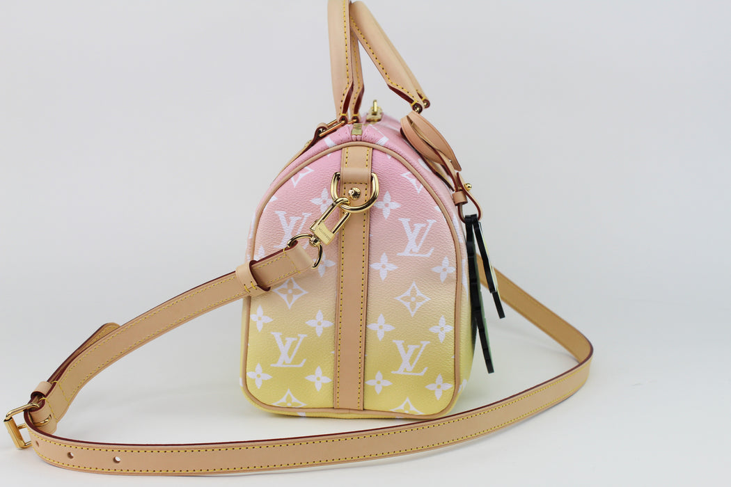 Louis Vuitton Pool Collection Speedy 25