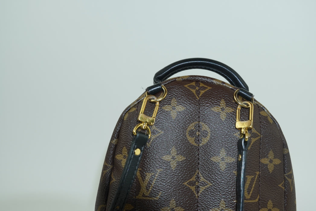 Louis Vuitton Palm Springs Mini Backpack