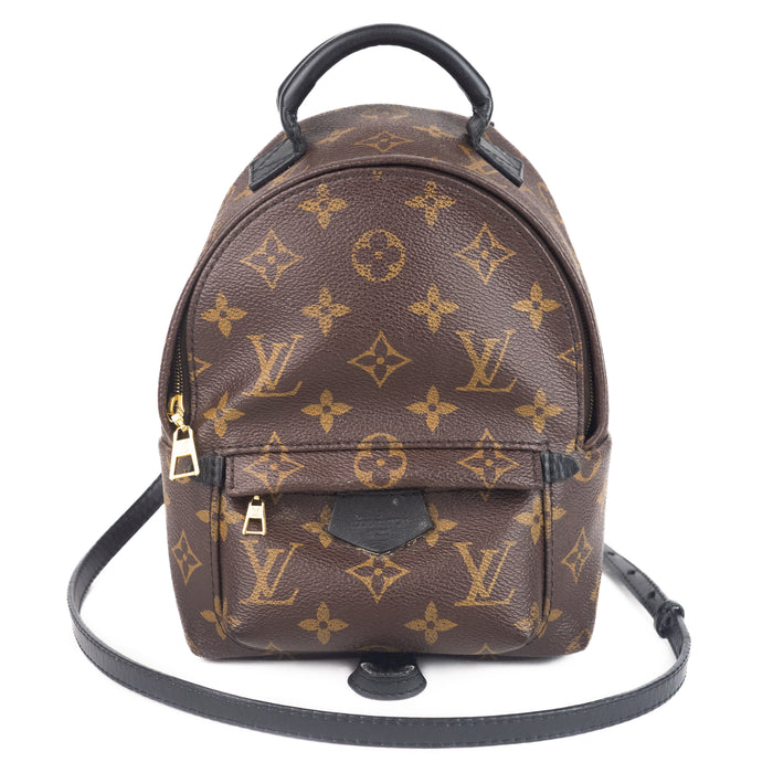 Louis vuitton Palm Springs Mini Backpack Monogram