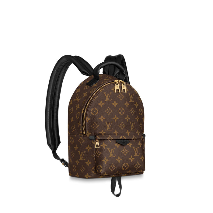 LOUIS VUITTON PALM SPRINGS PM BACKPACK