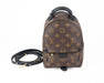 Louis Vuitton Palm Springs Mini Backpack