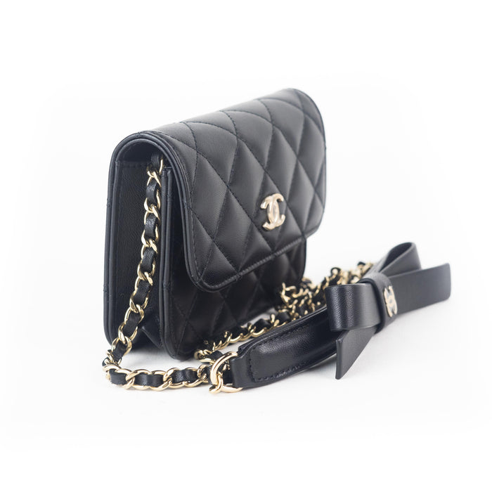 Chanel Lambskin Quilted Mini Wallet on Chain