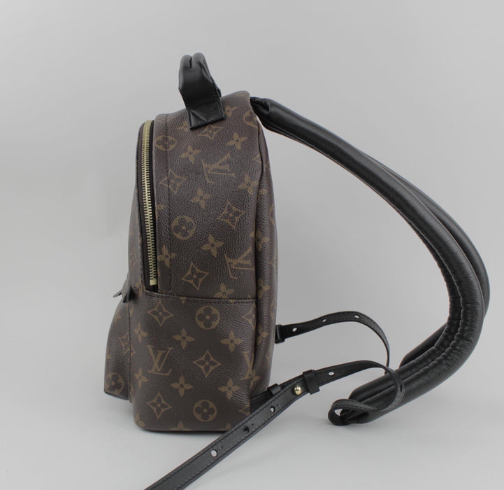 LOUIS VUITTON PALM SPRINGS PM BACKPACK