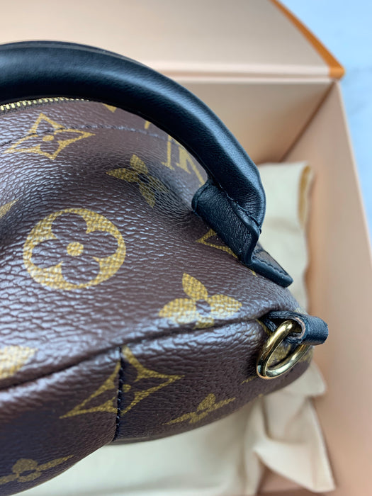 Louis Vuitton Palm Springs Mini Backpack