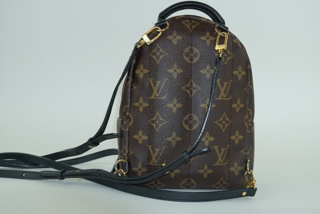 Louis Vuitton Palm Springs Mini Backpack