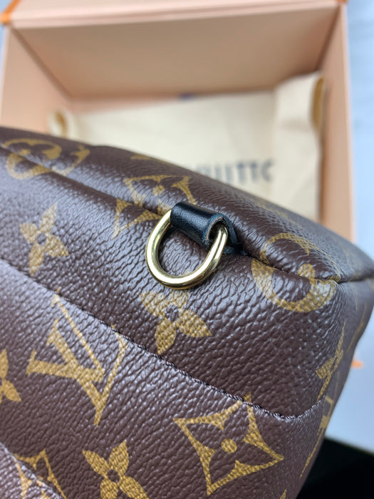 Louis Vuitton Palm Springs Mini Backpack