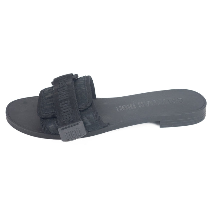 Dior (R)evolution Slides