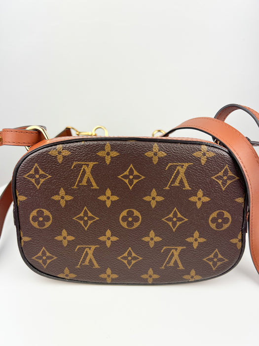 Louis Vuitton Brown Reverse Monogram Dauphine Backpack PM