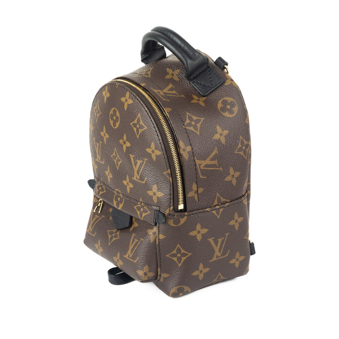 Louis Vuitton Palm Springs Mini Backpack