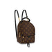 Louis Vuitton Palm Springs Mini Backpack