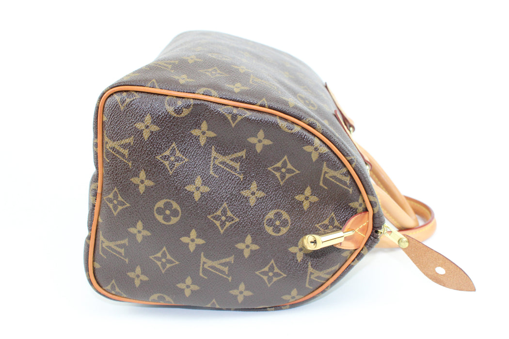 Louis Vuitton Speedy 30 Monogram