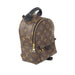 Louis Vuitton Palm Springs Mini Backpack