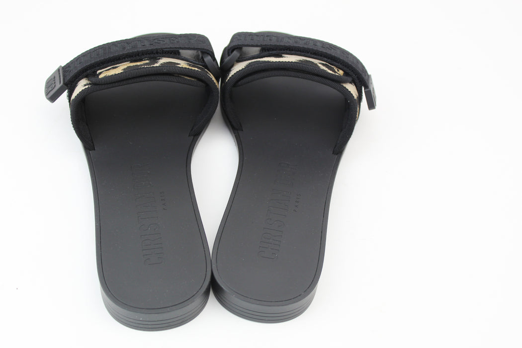 Dior (R)evolution Slides