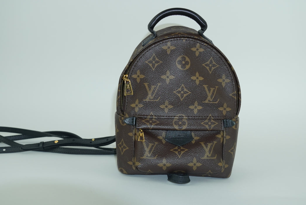 Louis Vuitton Palm Springs Mini Backpack
