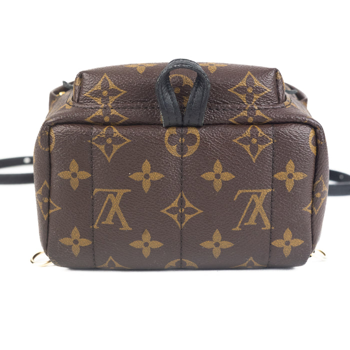 Louis vuitton Palm Springs Mini Backpack Monogram