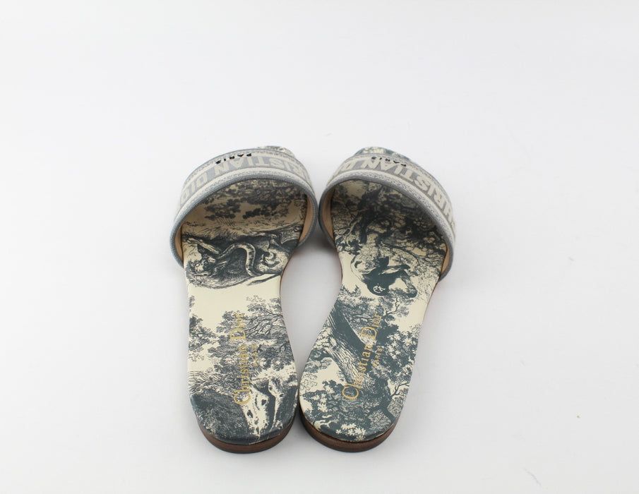 CHRISTIAN DIOR DWAY SLIDES GREY