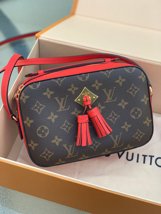 LOUIS VUITTON SAINTONGE - LuxurySnob