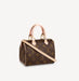 Louis Vuitton Speedy Nano Monogram