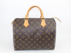Louis Vuitton Speedy 30 Monogram