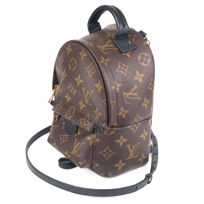 Louis vuitton Palm Springs Mini Backpack Monogram