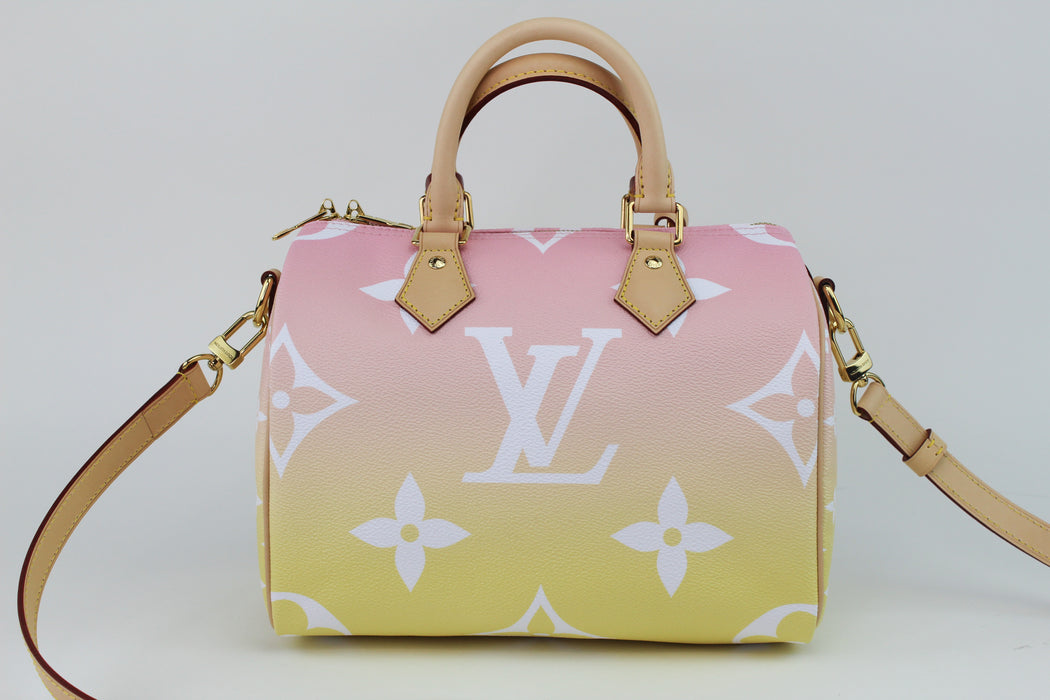 Louis Vuitton Pool Collection Speedy 25