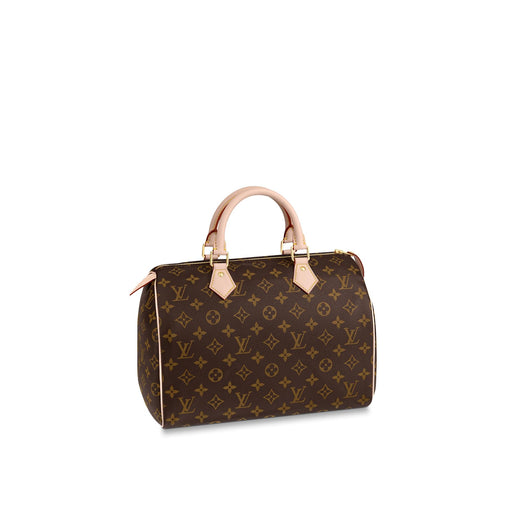 Louis Vuitton Speedy 30 Monogram
